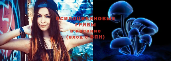 амф Бугульма