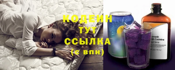 мет Бородино
