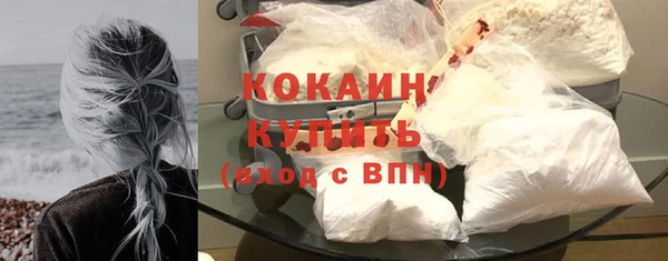 мет Бородино