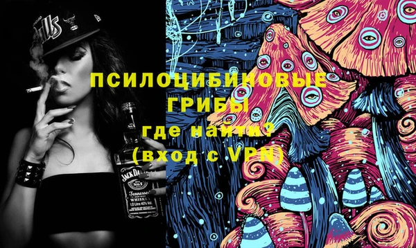 амф Бугульма