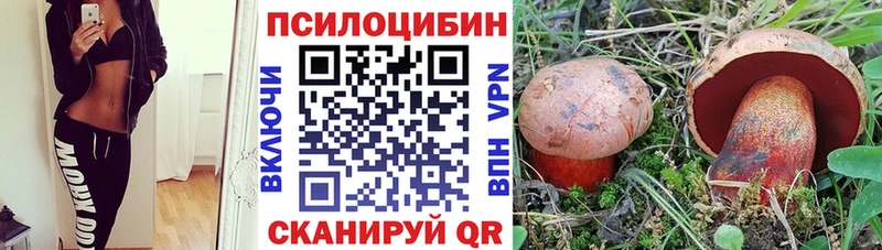 Псилоцибиновые грибы ЛСД  как найти наркотики  Катав-Ивановск 